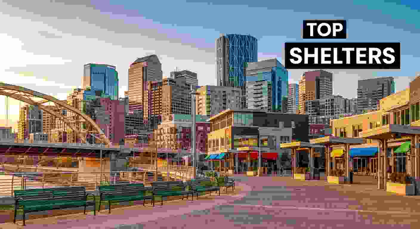Best Animal Shelters in Calgary
